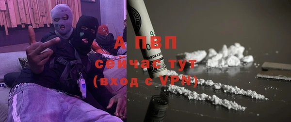 стафф Дмитров